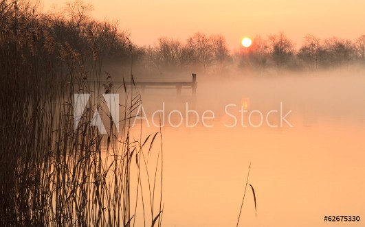 Picture of Foggy and yellow sunrise at a jetty in a lake